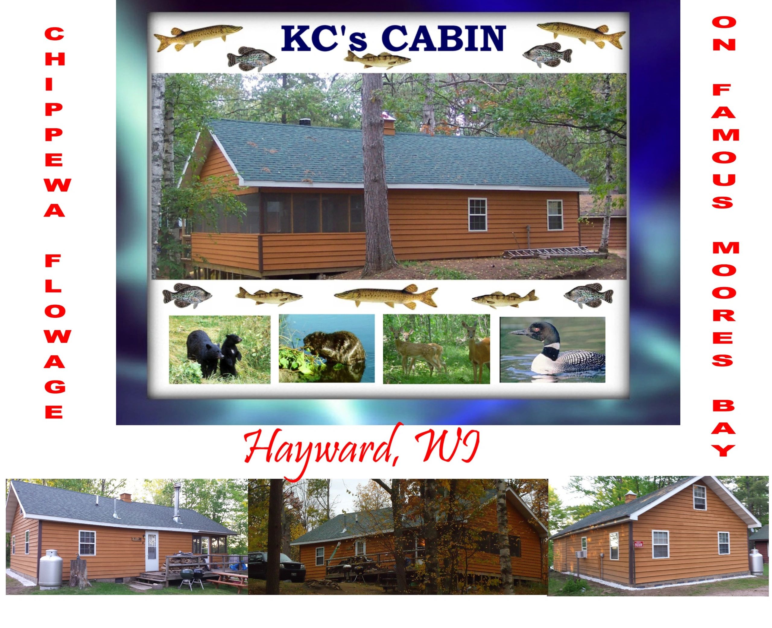 Come Up North To The Cabin